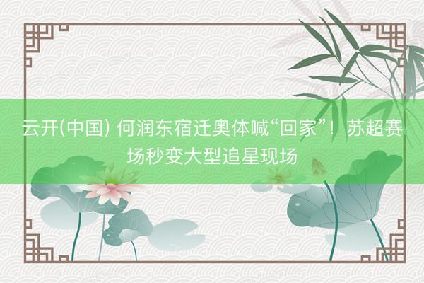 云开(中国) 何润东宿迁奥体喊“回家”！苏超赛场秒变大型追星现场