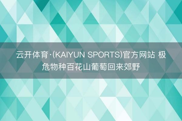 云开体育·(KAIYUN SPORTS)官方网站 极危物种百花山葡萄回来郊野