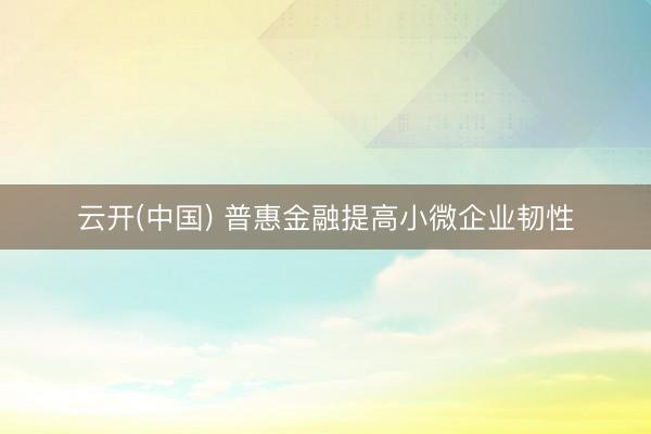 云开(中国) 普惠金融提高小微企业韧性